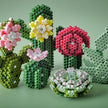 Hama - HAMA ART - SUCCULENTS