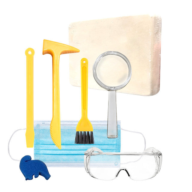 HamiltonBuhl - Steam Beginner Level Deluxe Kit - Full of Coding & Robot Engineering Kits All In One