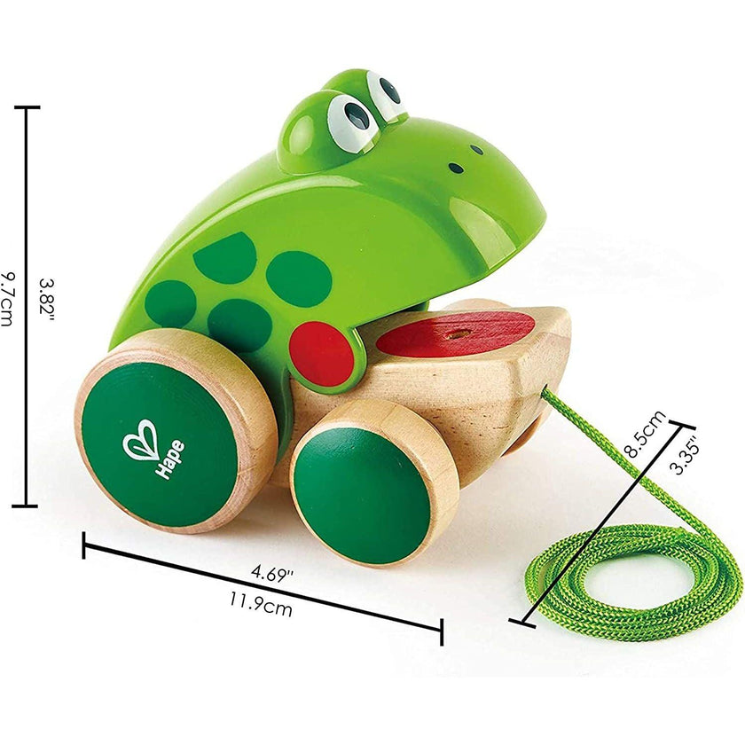 Hape - Frog Pull - Along