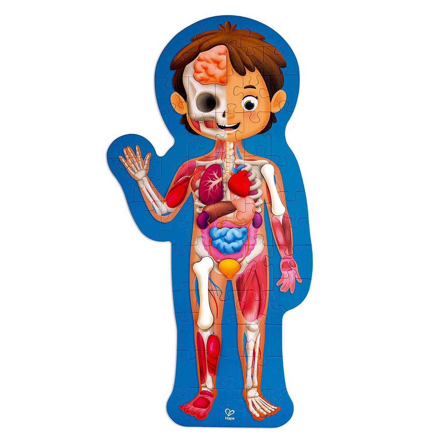 Hape - Human Body Puzzle