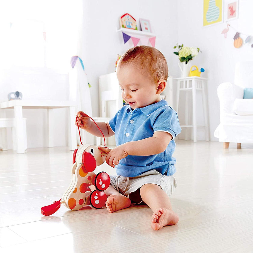 Hape - Pepe Pull - Along
