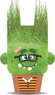 Hape - Plant Pals Monsters
