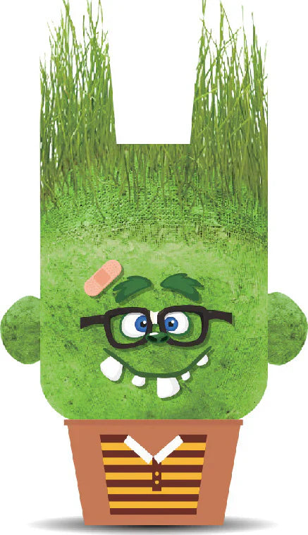 Hape - Plant Pals Monsters