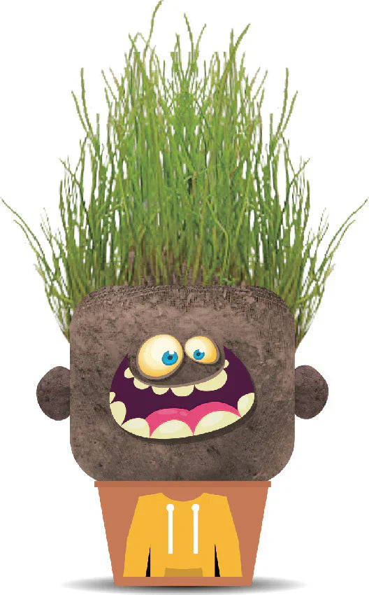 Hape - Plant Pals Monsters