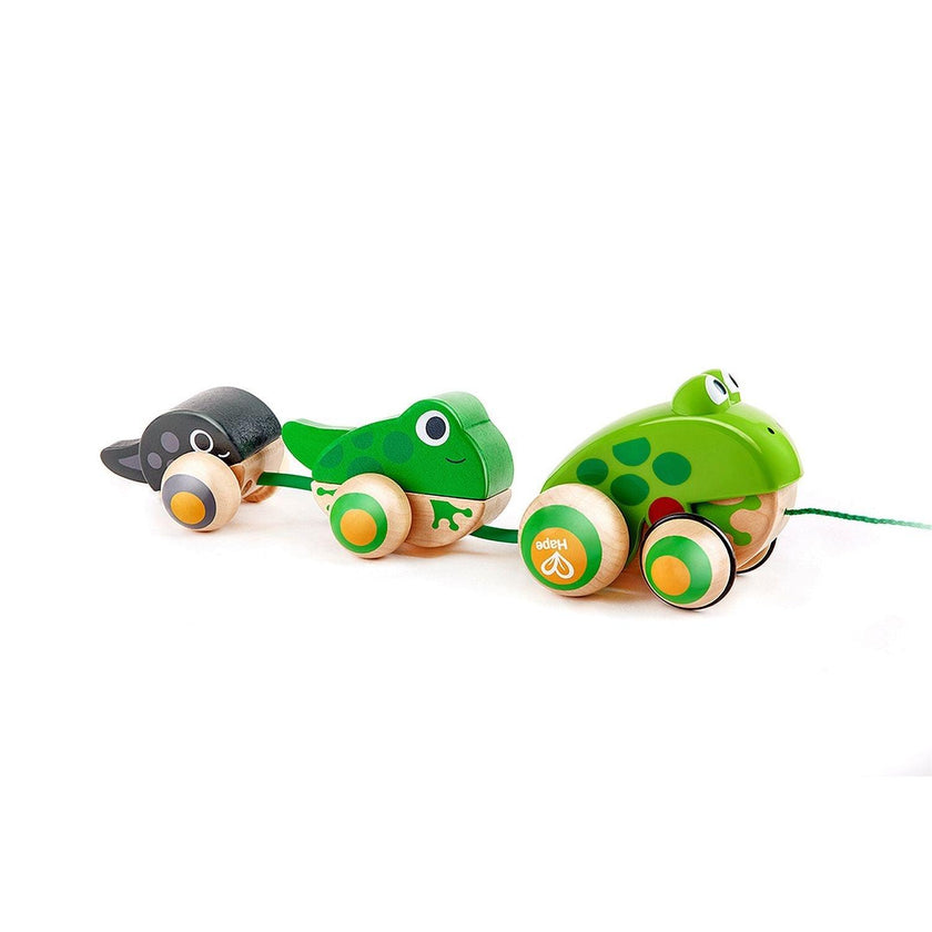 Hape - Pull - Along Frog Family