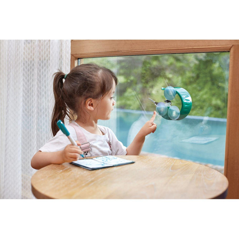 Hape - Window Bird Feeder