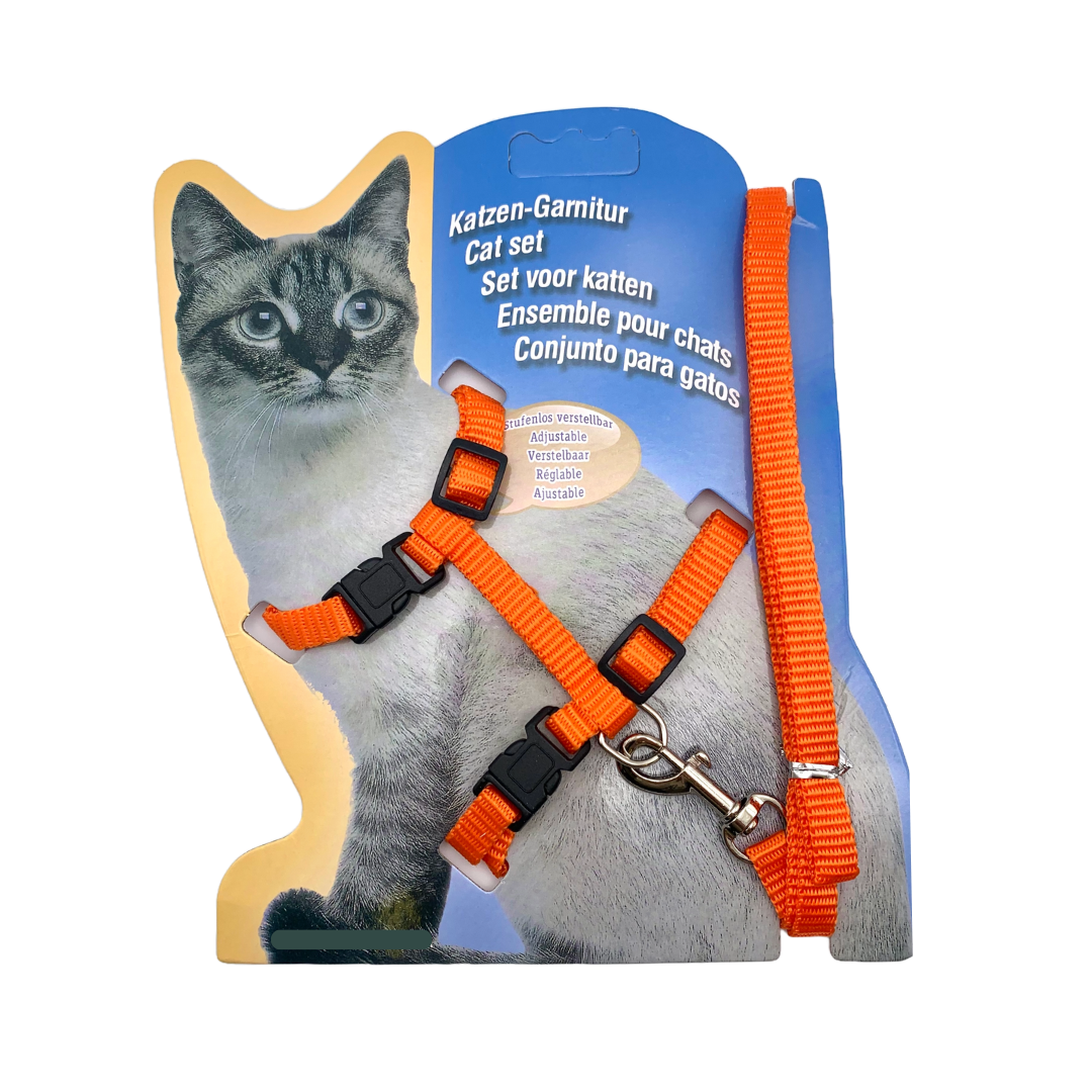 Ensemble de promenade pour chat et lapin