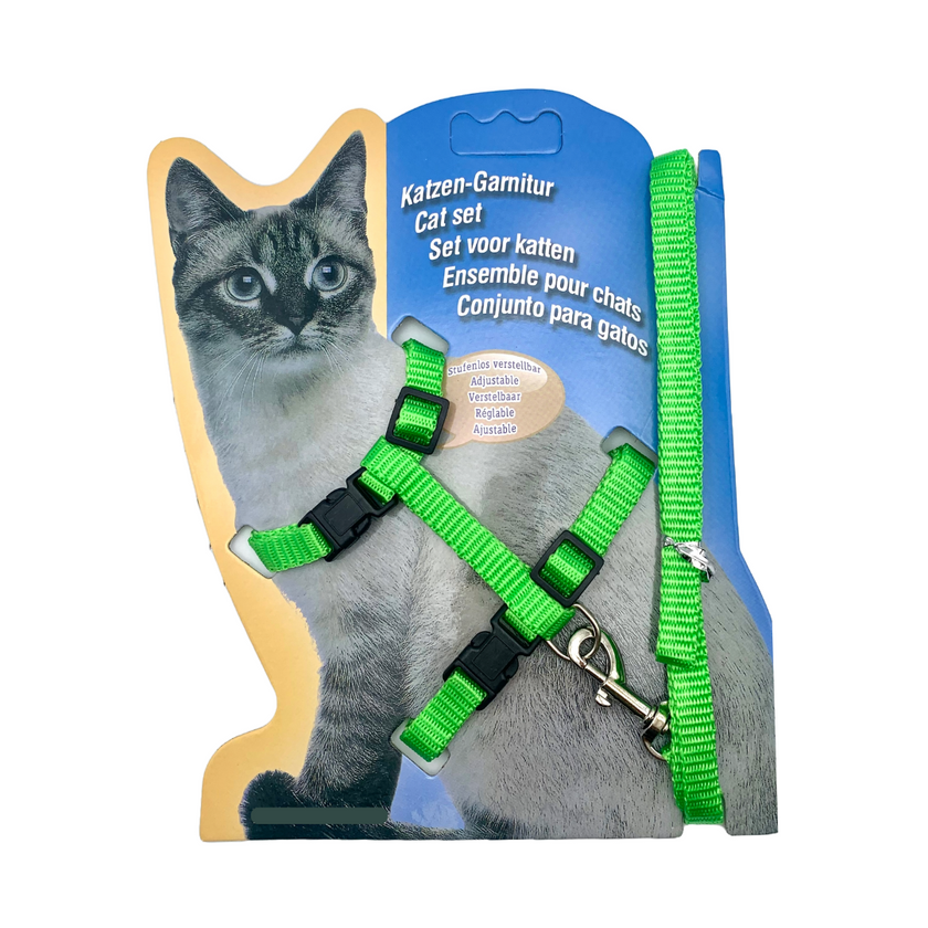 Ensemble de promenade pour chat et lapin