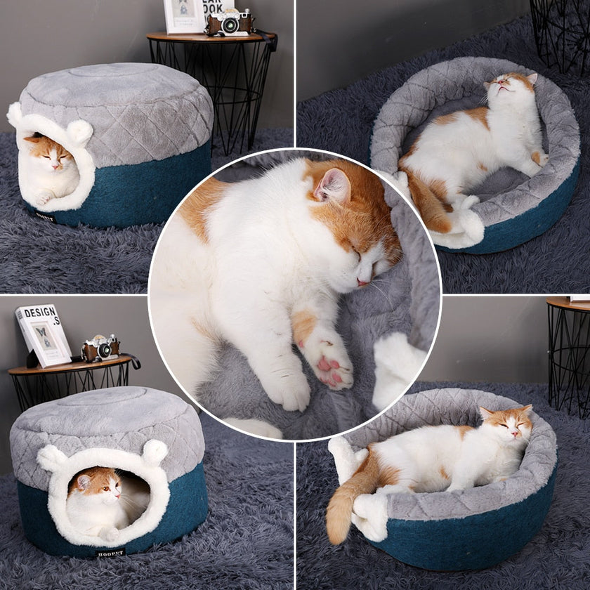 Cat Bed House