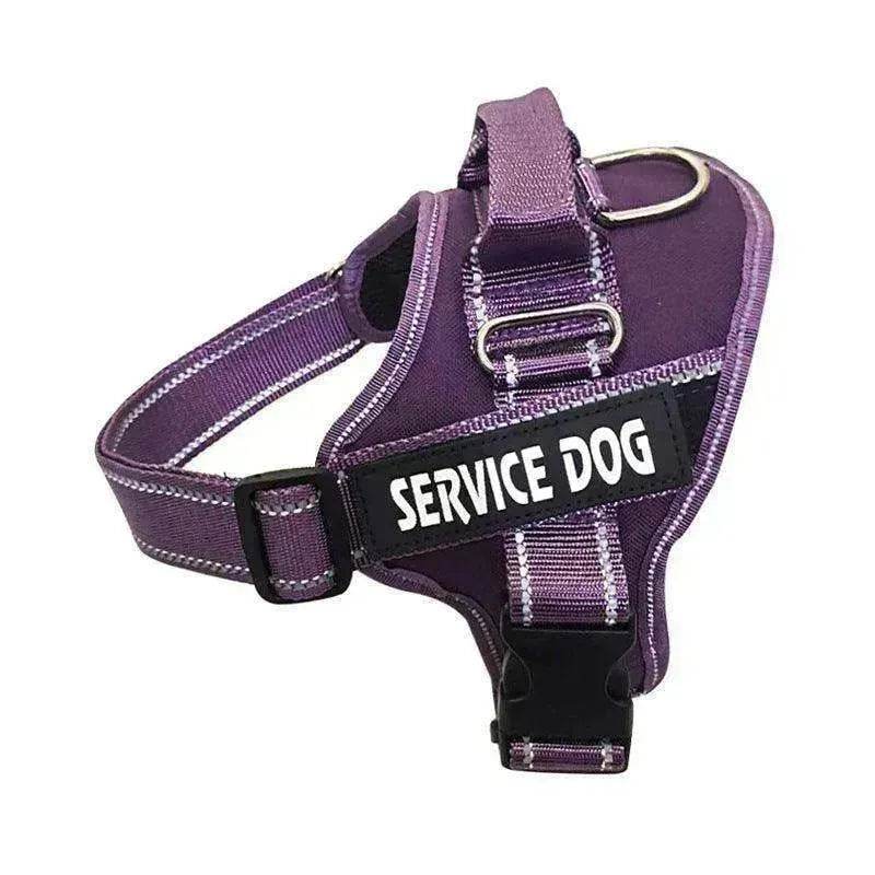High Quality Personalization Of Pet Chest Strap / leash