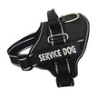 High Quality Personalization Of Pet Chest Strap / leash