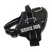 High Quality Personalization Of Pet Chest Strap / leash