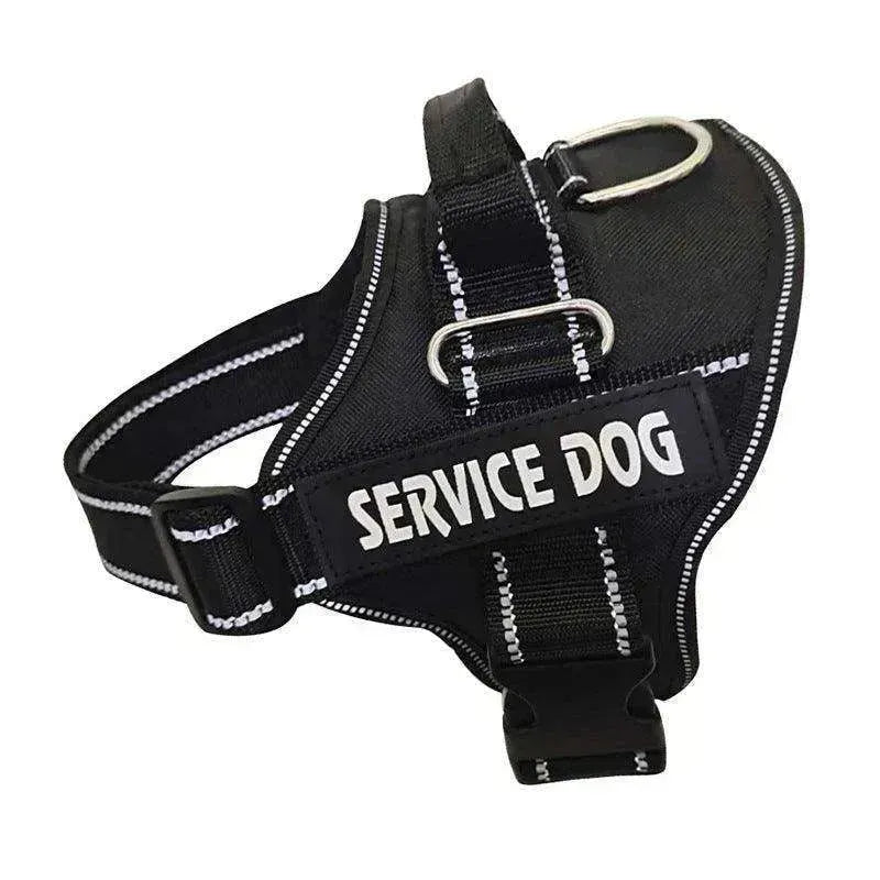 High Quality Personalization Of Pet Chest Strap / leash