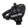 High Quality Personalization Of Pet Chest Strap / leash