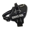 High Quality Personalization Of Pet Chest Strap / leash