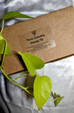 Home Cleansing Smudge Kit