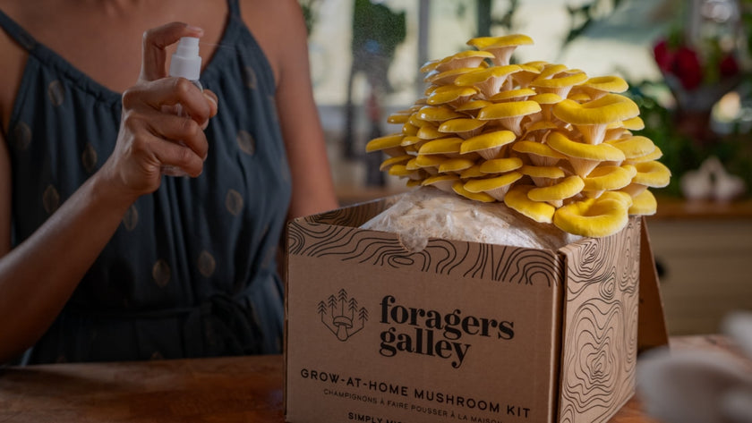 Ultimate Grower's Bundle — Three Kits