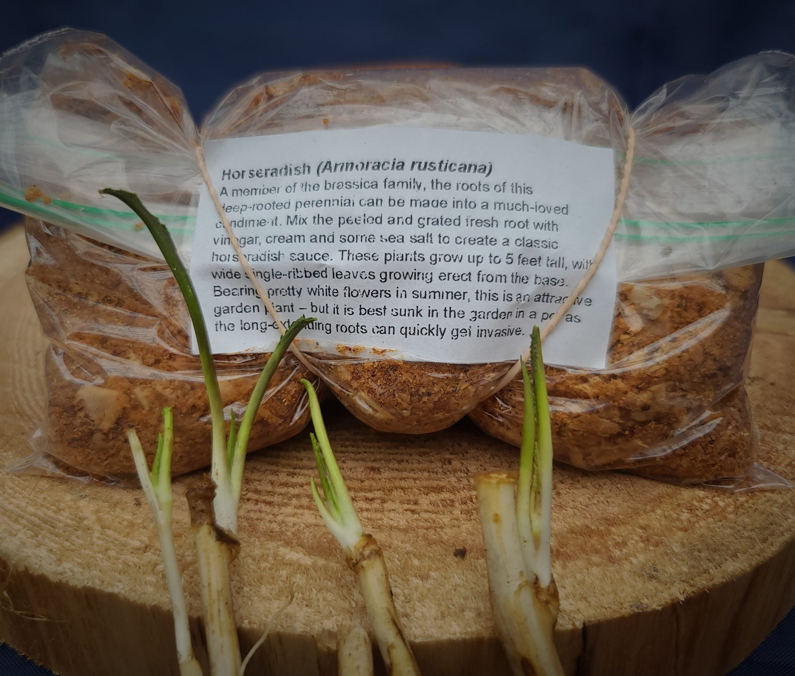 Horseradish