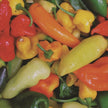 Hot Pepper Mix
