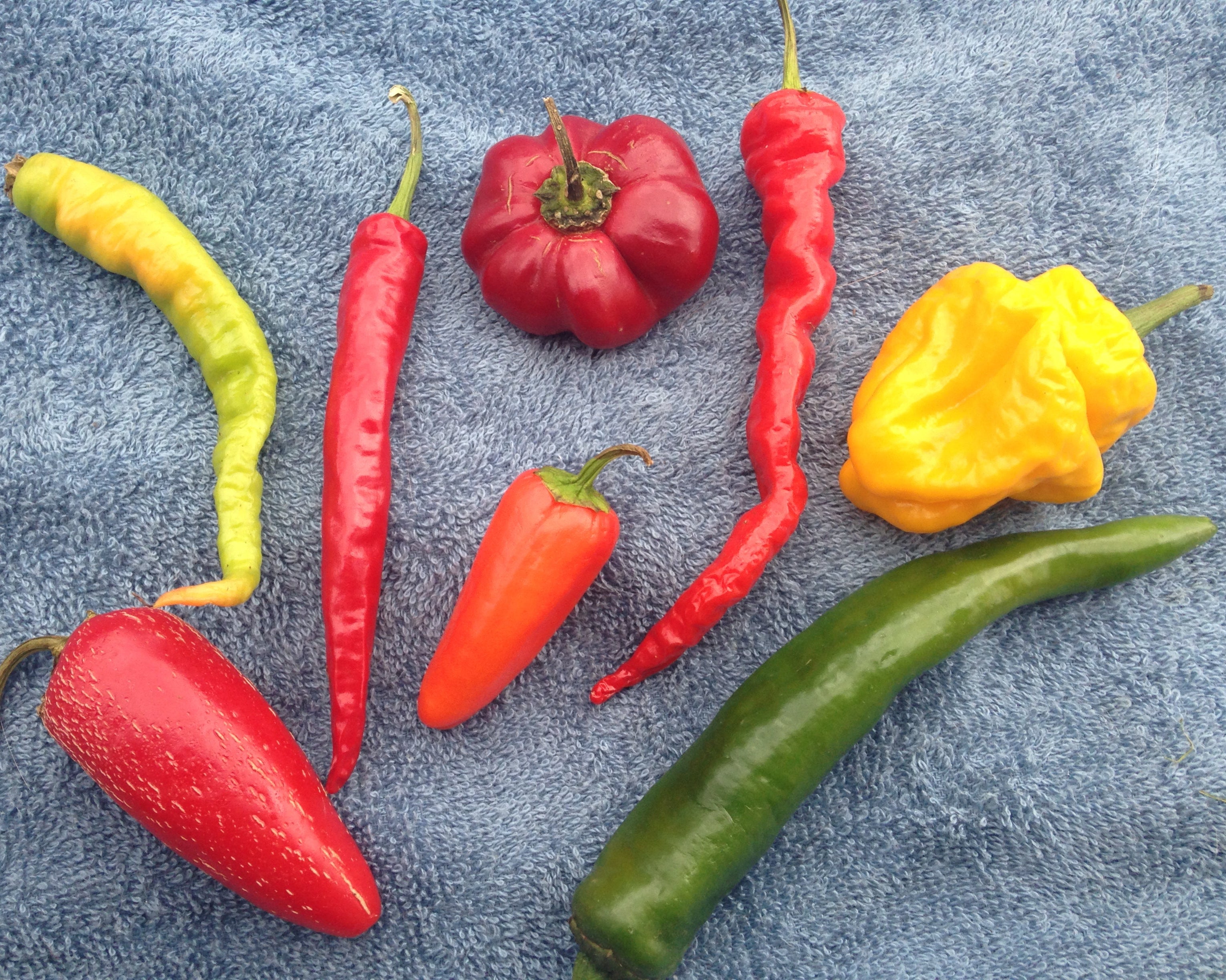 Hot Pepper Mix