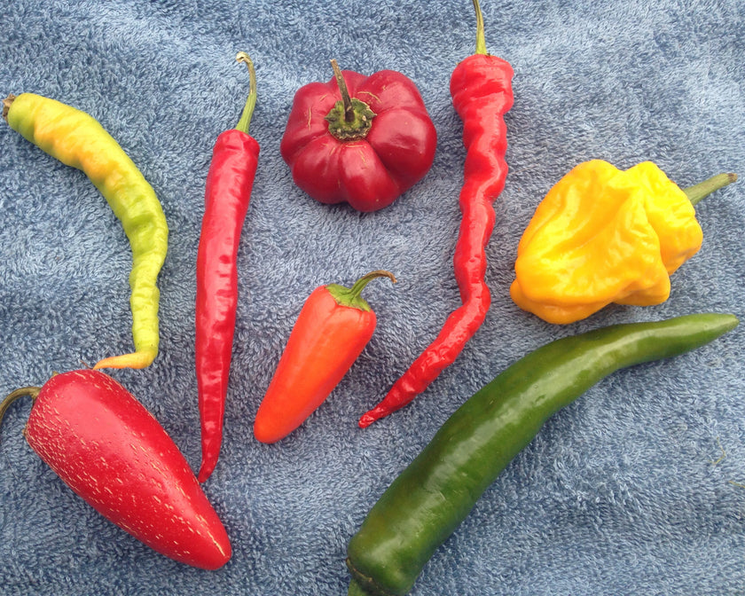 Hot Pepper Mix