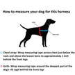 Scotland Tartan One-Click Dog Harness