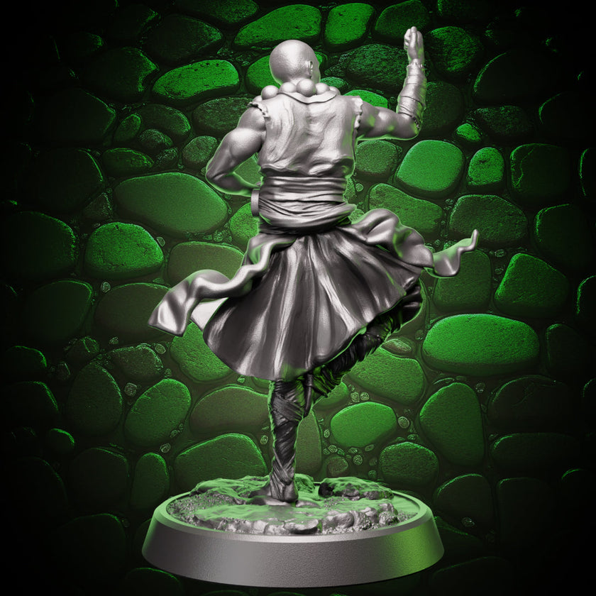 Human Monk - Balance | 5e
