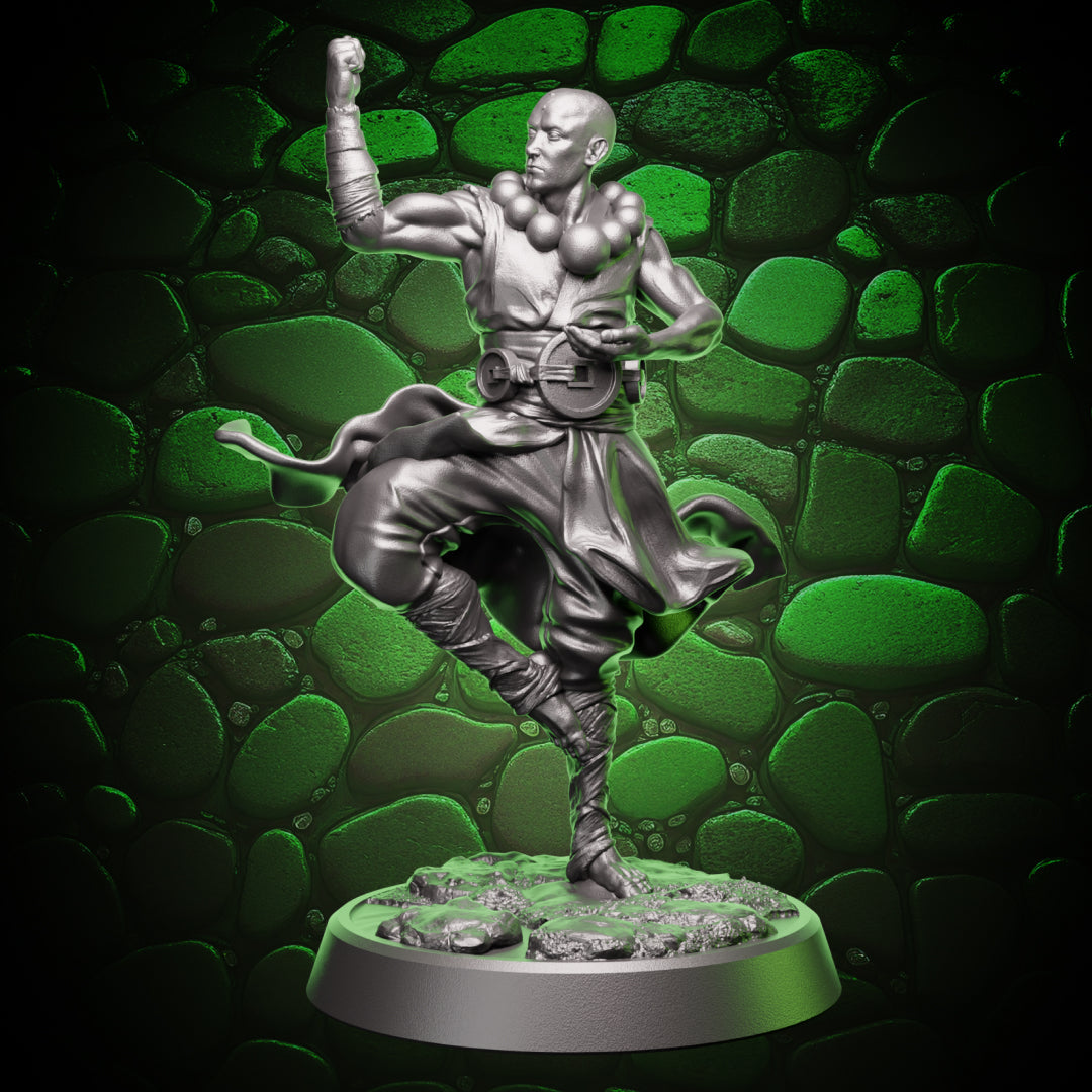 Human Monk - Balance | 5e