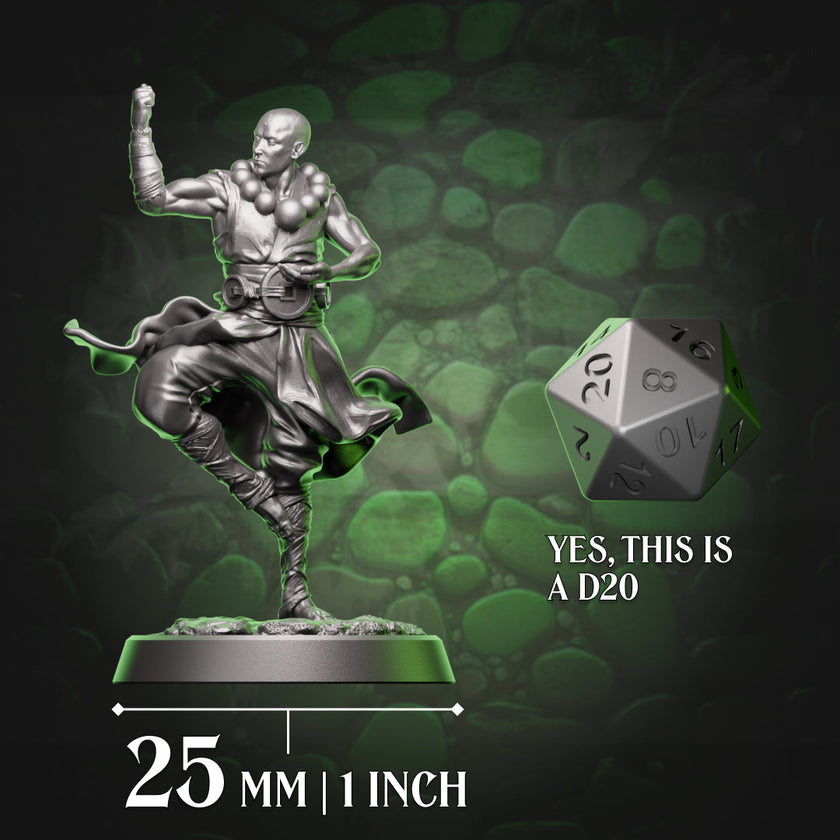 Human Monk - Balance | 5e
