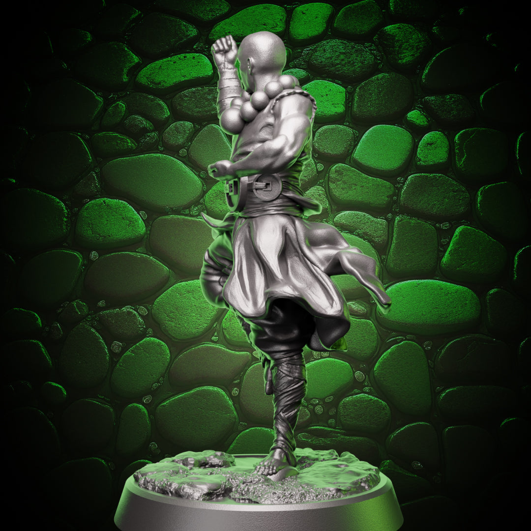Human Monk - Balance | 5e