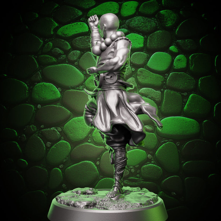 Human Monk - Balance | 5e