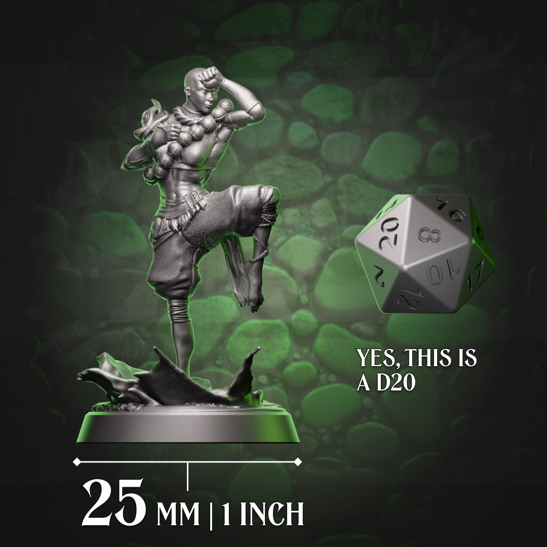 Human Monk - Splash | 5e
