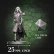 Human Monk - Wanderer | 5e