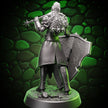 Human Paladin | Flail & Shield | 5e