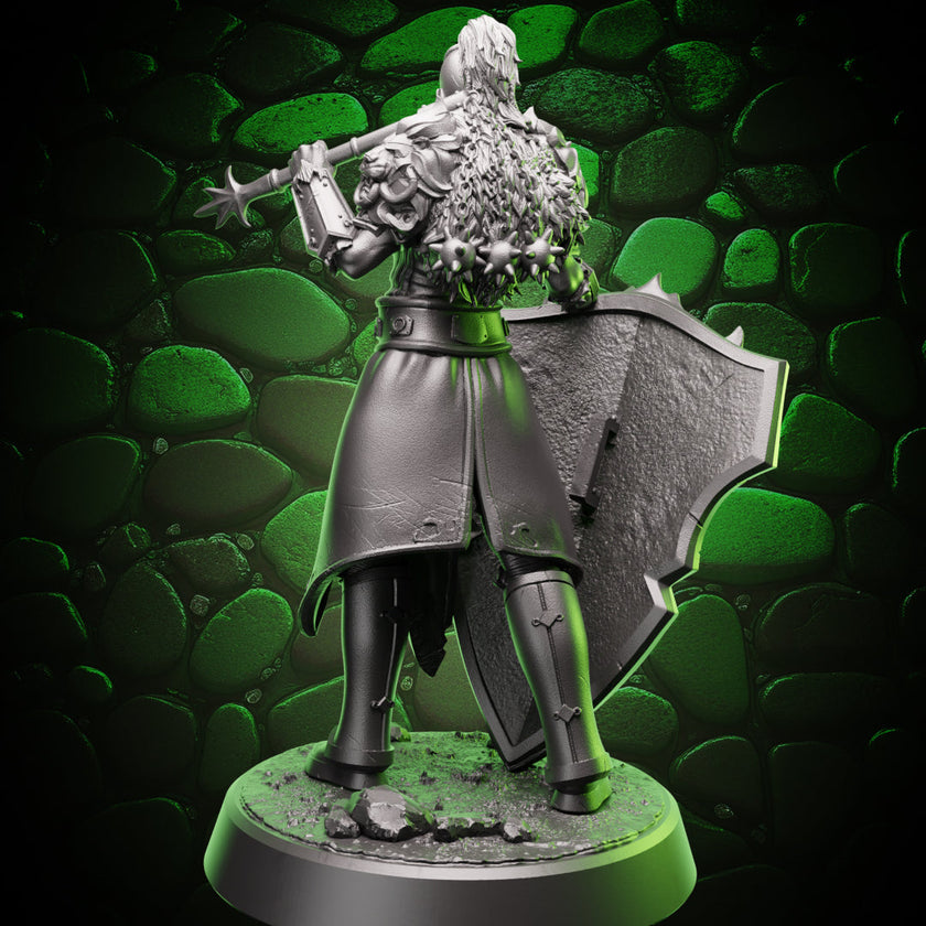 Human Paladin | Flail & Shield | 5e