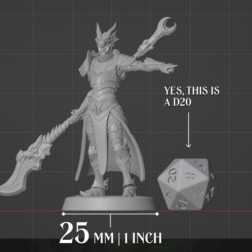 Human Paladin | Glaive | 5e