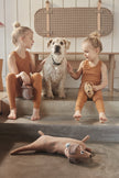 Hunsi Dog with two puppies Coco & Max - Multi