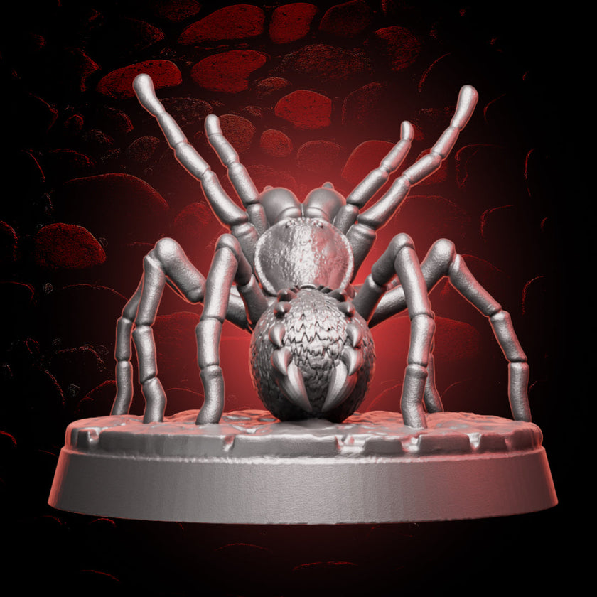 Huntsman Spider | 5e