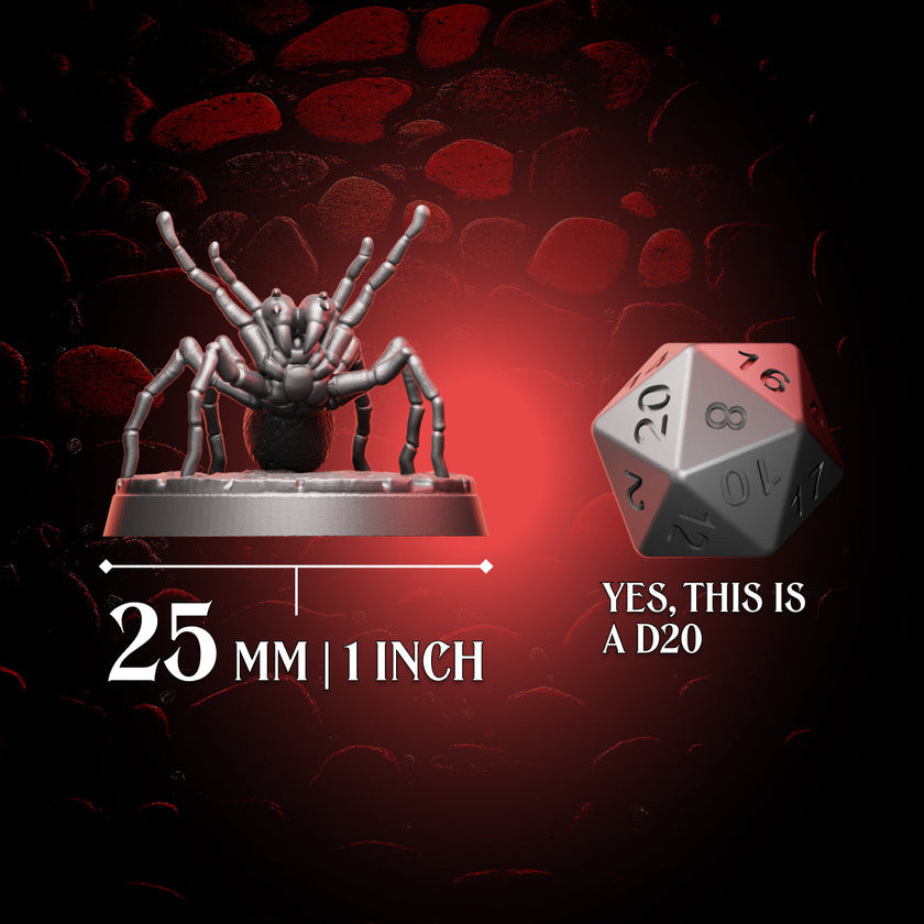 Huntsman Spider | 5e