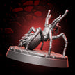Huntsman Spider | 5e