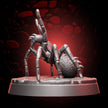 Huntsman Spider | 5e