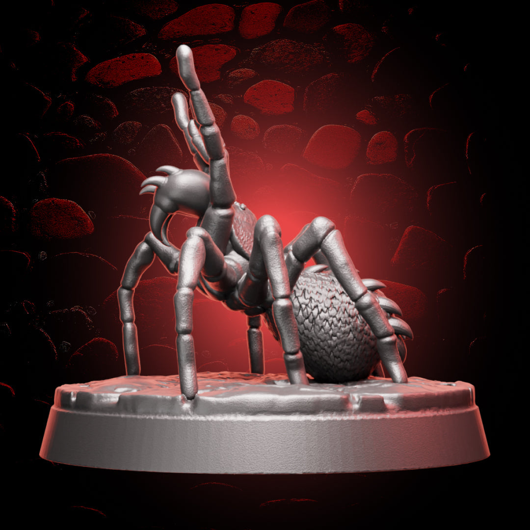 Huntsman Spider | 5e