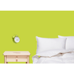 Hutterite White Down Duvet