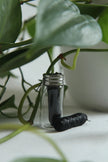 Creating Smaller Footprints Zero Waste Floss