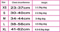 Chewnel Harness Set | Dog Harness Leash Set