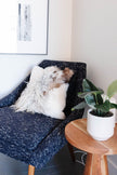 Mélange Sheepskin Pillow, curly wool