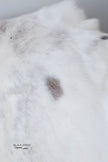 White Sami Reindeer Hide