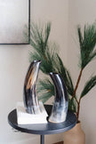Ankole & Gyr Horn Dark Vase
