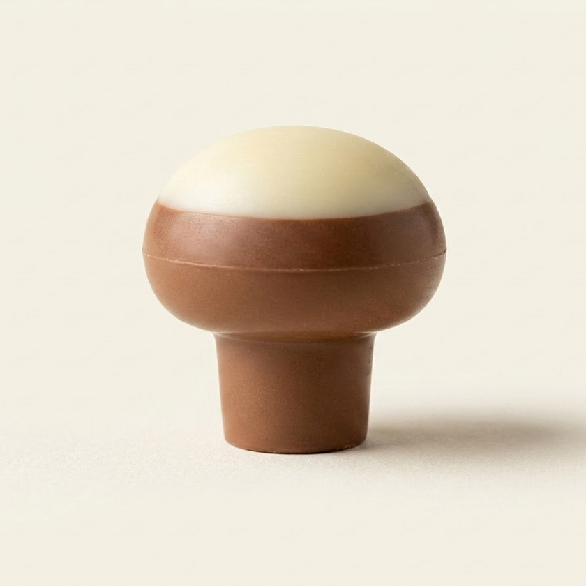Milk Chocolate Mushroom Treat 100g