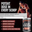 VNDL Project Pure L-Citrulline